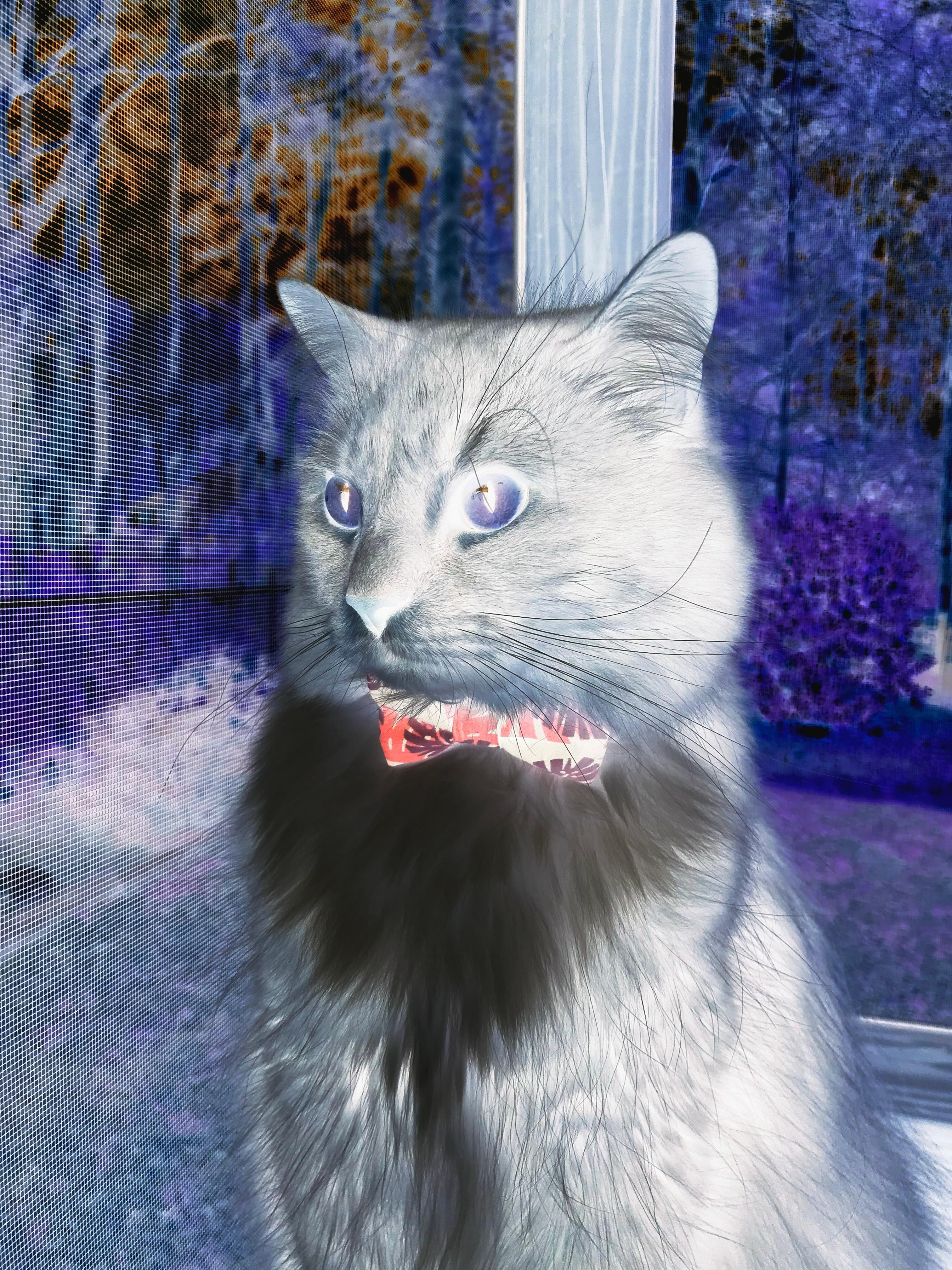 爱游戏下载-【丁俊晖专属训练】如何练出精准控制母球的绝技？，丁俊晖教程